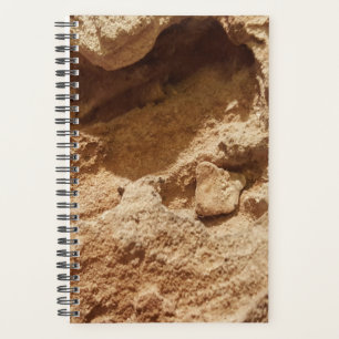 Natuurlijke Topografie Rotsformatie Foto Mannelijk Planner