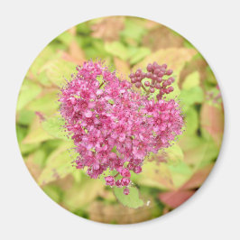 Natuurlijke ventilatorhartslag - doorboord met een magneet