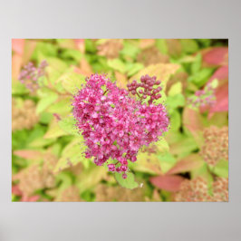 Natuurlijke ventilatorhartslag - doorboord met een poster