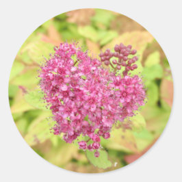 Natuurlijke ventilatorhartslag - doorboord met een ronde sticker