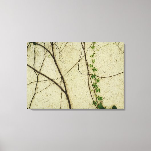 Natuurlijke wijnstokken canvas afdruk (Voorkant)