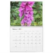 Natuurlijke wonderen inspirerend kalender (Feb 2027)