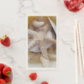 Natuurlijke zeesterren en zand dollars Kustvis Servet (Insitu)