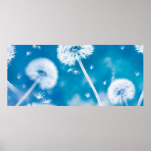 Natuurlijke zomerflorale achtergrond. Witteandelie Poster