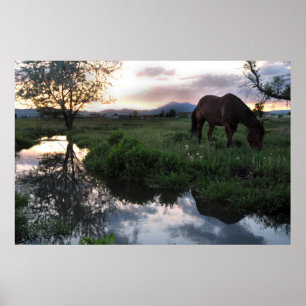 Natuurlijke zonsondergang poster