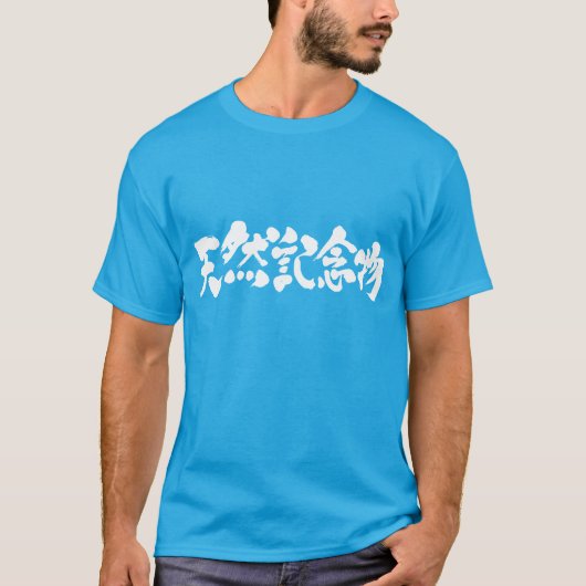 Natuurmonument [Kanji] T-shirt (Voorkant)