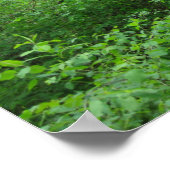 Natuurpadposter Poster (Hoek)