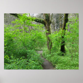 Natuurpadposter Poster