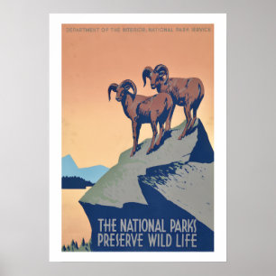 Natuurposter Nationale Parken Poster