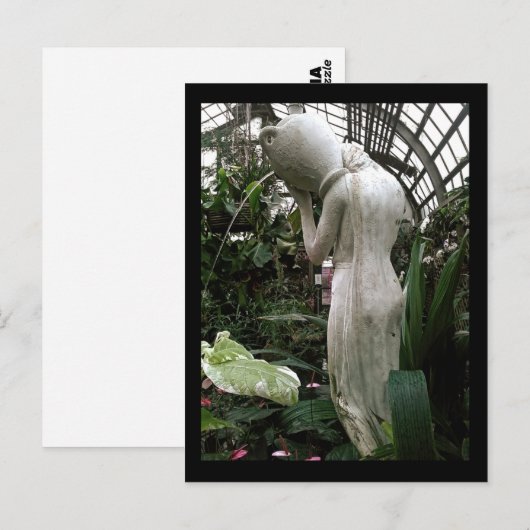 natuurreservaat lincoln : fontein briefkaart (Voorkant / Achterkant)