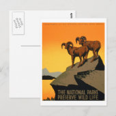  natuurreservaat Poster Briefkaart (Voorkant / Achterkant)