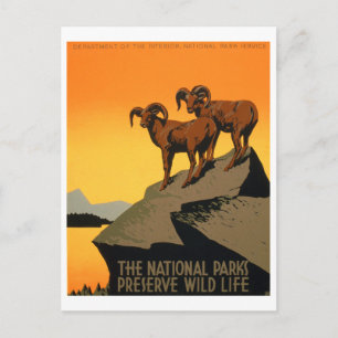  natuurreservaat Poster Briefkaart