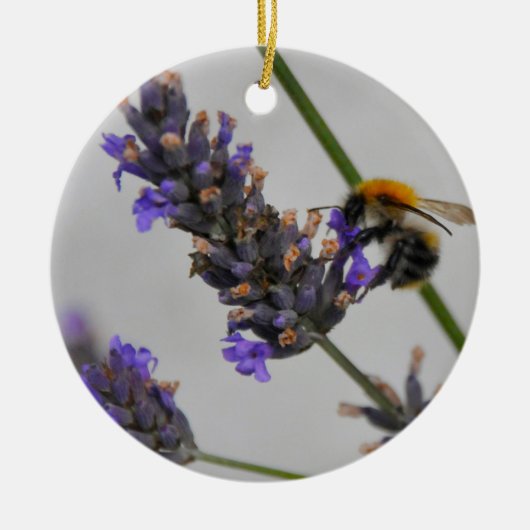 Natuurs Bijzondere Werkers Keramisch Ornament (Voorkant)