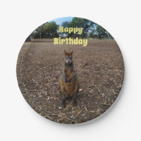 natuur's Feast: een Wallaby's Snack Break