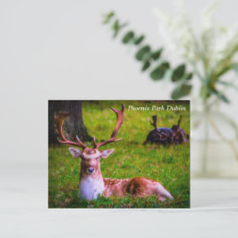 Natuur's majesteit in Phoenix Park Feestdagenkaart