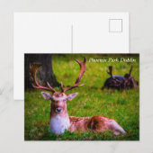 Natuur's majesteit in Phoenix Park Feestdagenkaart (Voorkant / Achterkant)