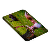 Natuur's majesteit in Phoenix Park Magneet (Rechterzijde)