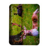 Natuur's majesteit in Phoenix Park Magneet (Verticaal)