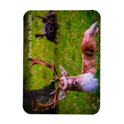 Natuur's majesteit in Phoenix Park Magneet (Verticaal)