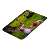 Natuur's majesteit in Phoenix Park Magneet (Linkerzijde)