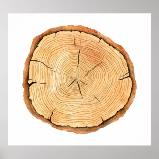 Natuur's Rings: Tree Texture Triumph Poster (Voorkant)