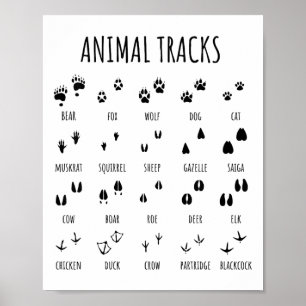 Natuurverkenner Dieren Sporen T-shirt Voor Kampere Poster
