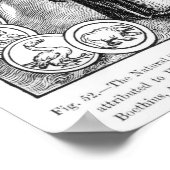 Natuurwetenschappen in aanwezigheid van poster (Hoek)