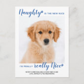 Naught Nice Funny Blue Buffalo Plaid Pet Photo Feestdagenkaart (Voorkant)
