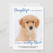 Naught Nice Funny Blue Buffalo Pset Photo Hol Feestdagenkaart (Voorkant)