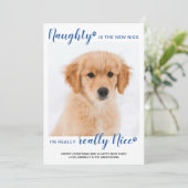 Naught Nice Funny Blue Buffalo Pset Photo Hol Feestdagenkaart (Staand voorkant)