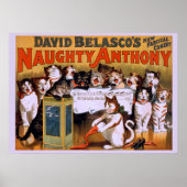 Naughty Anthony - Theater Poster (Voorkant)