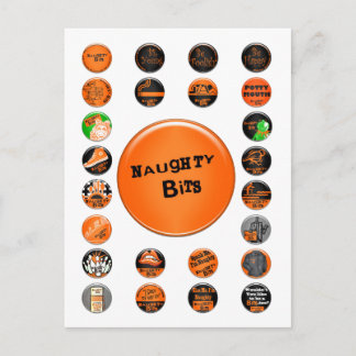 Naughty Bits Merit Badges Briefkaart