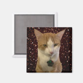 Naughty Cat Magneet (Voorkant / Achterkant)