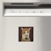 Naughty Cat Magneet (Insitu (Vaatwasser))