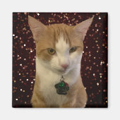 Naughty Cat Magneet (Voorkant)