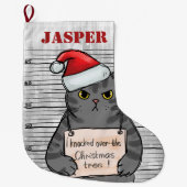 Naughty Cat Personalized Grote Kerstsok (Voorkant)