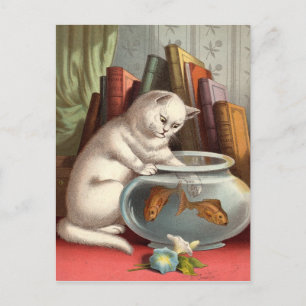 Naughty Cats briefkaarten