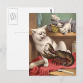 Naughty cats & lobster briefkaart (Voorkant / Achterkant)
