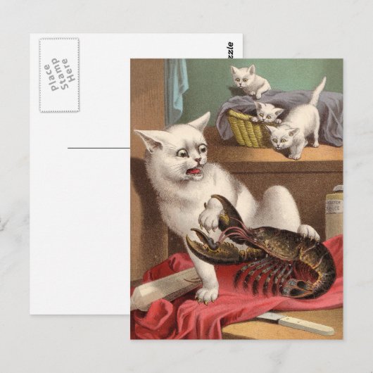 Naughty cats & lobster briefkaart (Voorkant / Achterkant)