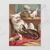 Naughty cats & lobster briefkaart (Voorkant)