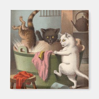 Naughty Cats - Wasdag Koelkast Magnet