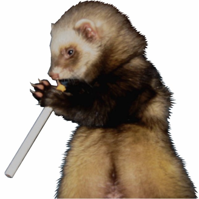 Naughty de heer Woozle Staand Fotobeeldje (Voorkant)