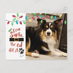 Naughty Dog Grappige Lieve Sint Brief Foto Hond Na Feestdagenkaart