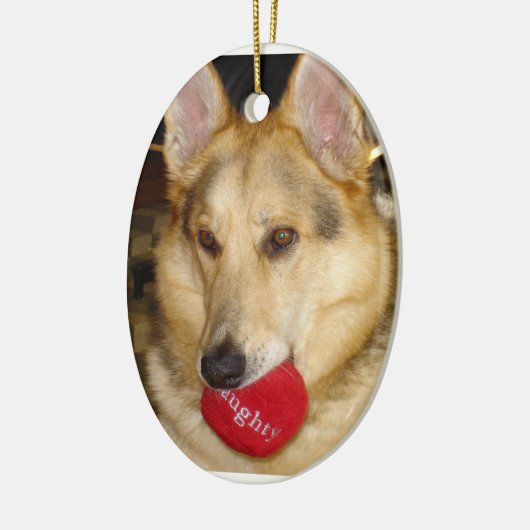 Naughty Dog Ornament (Links)