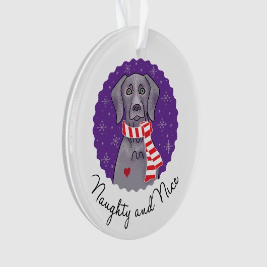 Naughty en Nice Ornament (voorkant)