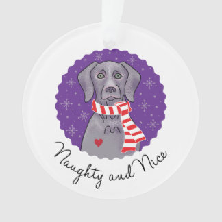 Naughty en Nice Ornament