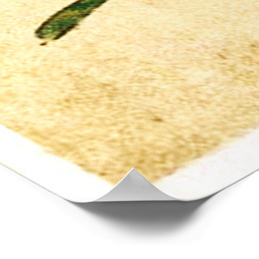 Naughty Frogs Poster (Hoek)