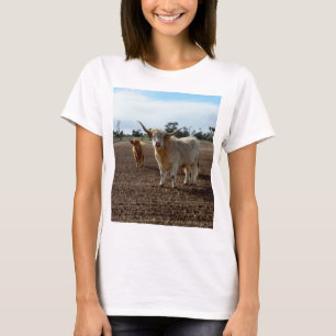 Naughty Highland Koeien Ate all the Crop, T-shirt