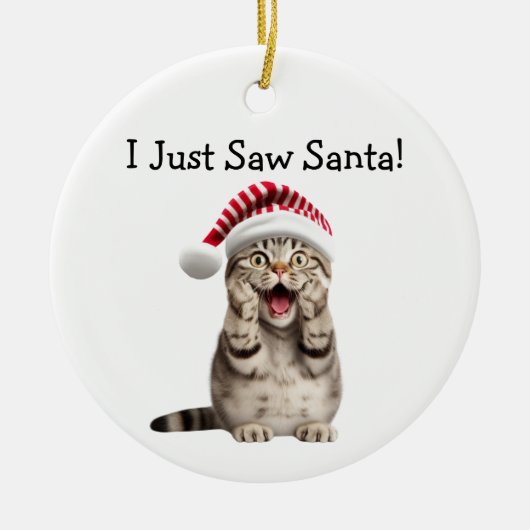 Naughty Kat Christmas Fun Cat Ornament (Voorkant)