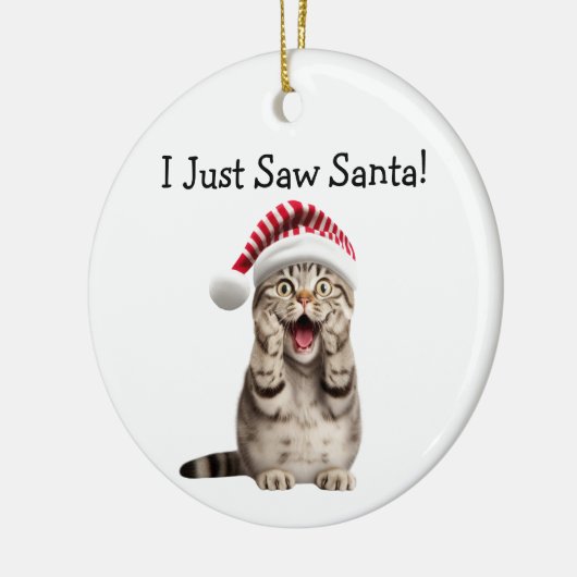 Naughty Kat Christmas Fun Cat Ornament (Links)
